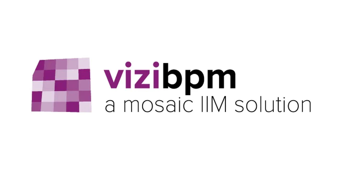 vizibpm DE web
