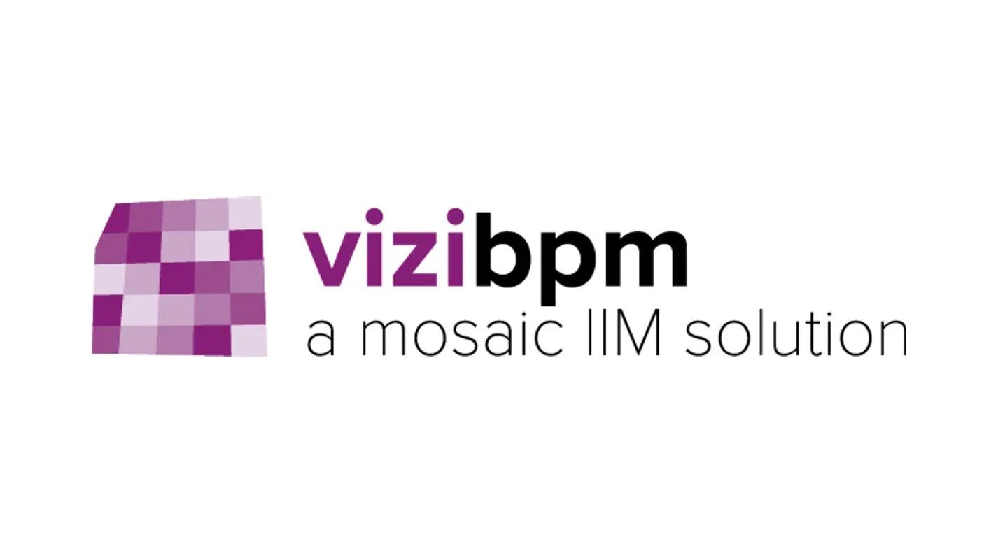 vizibpm FR web