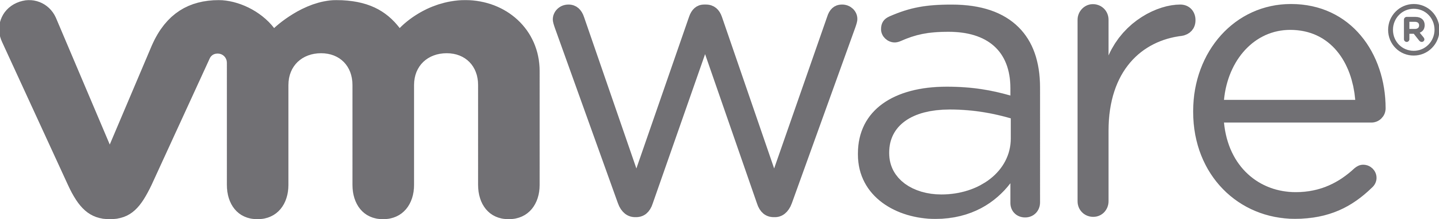 vmware
