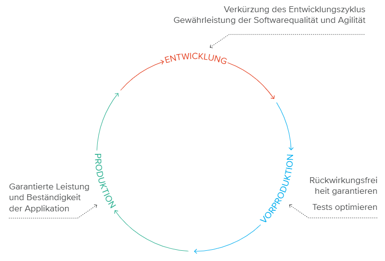 Development life cycle