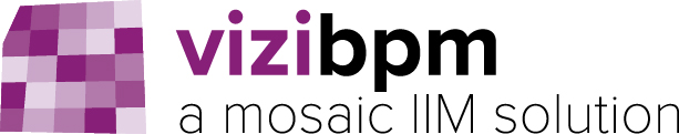 vizibpm